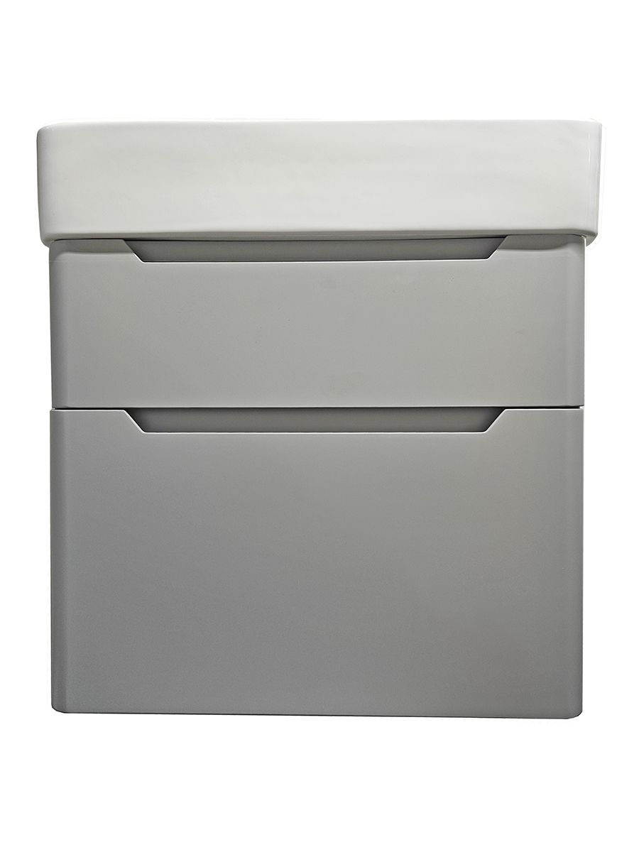 Reef 500mm 2 drawer wall hung unit