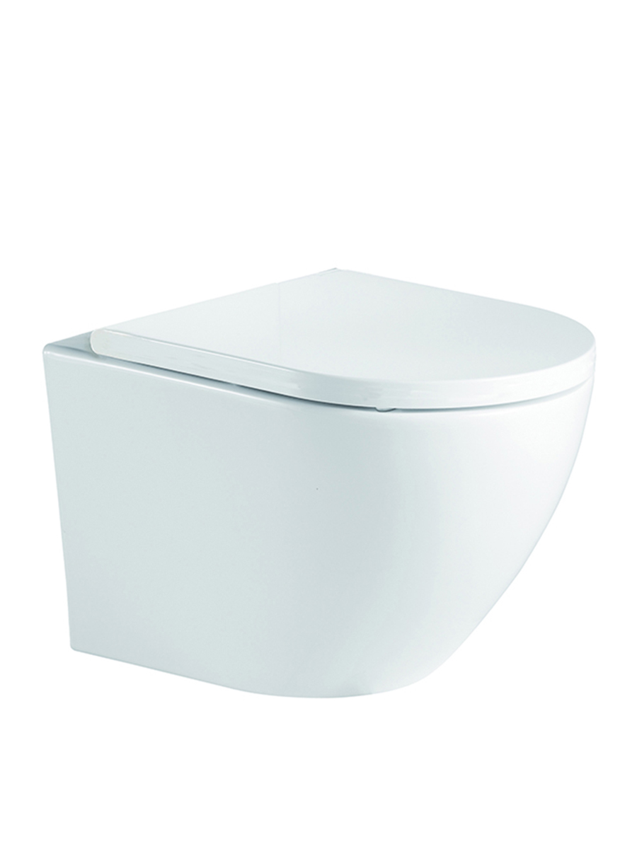 Lagoon wall hung WC with seat